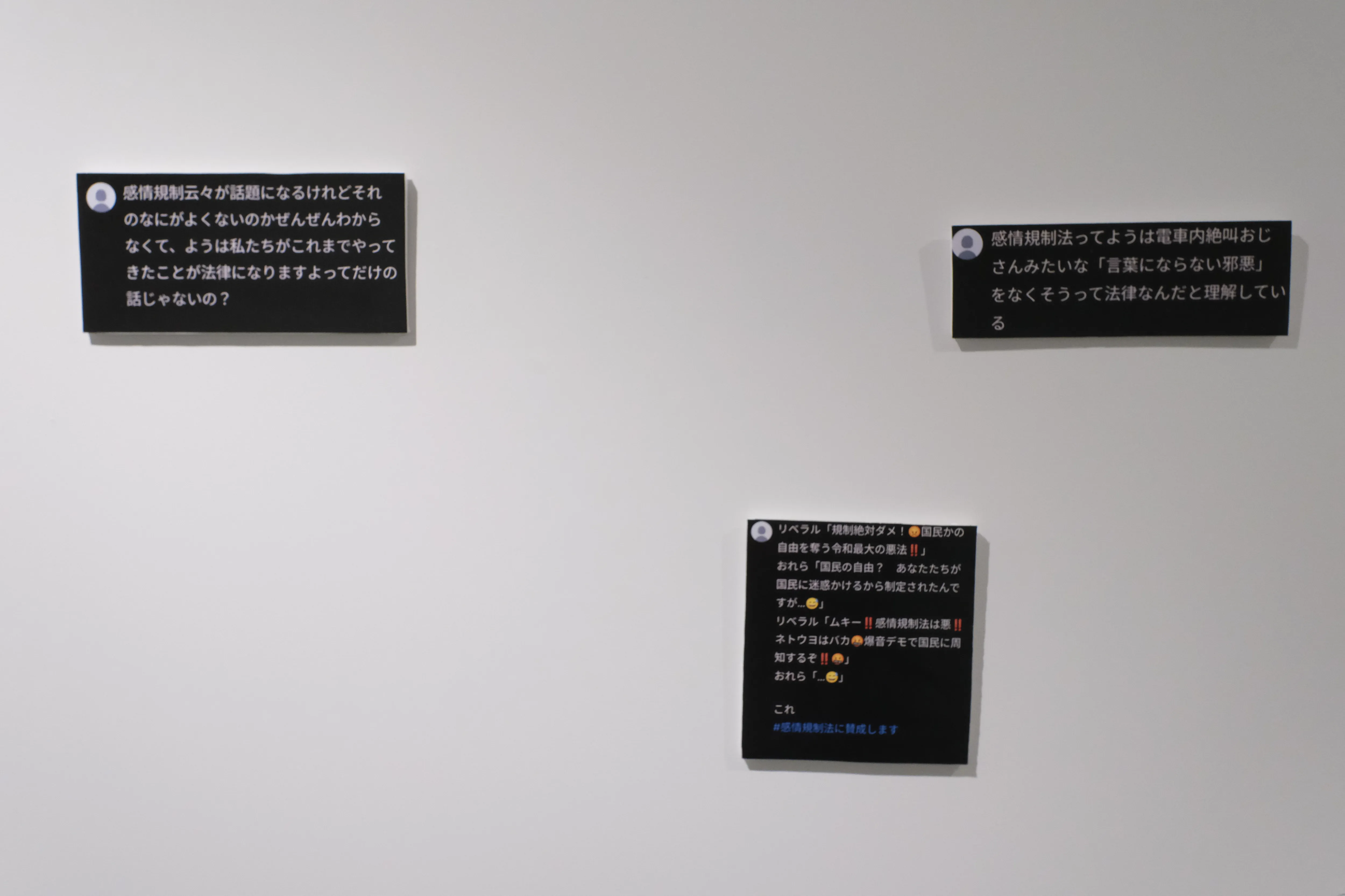 感情規制法の画像9
